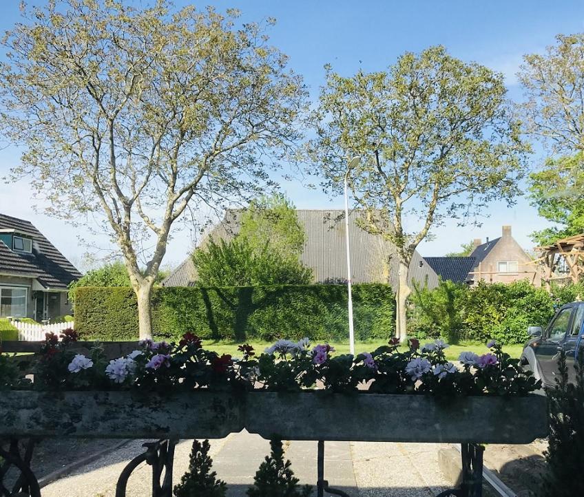 De Fryske Wyn Bed & Breakfast Ferwerd Luaran gambar